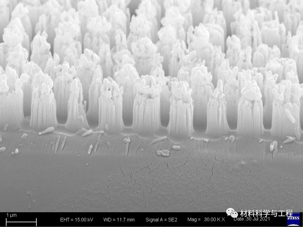 重磅：材料之美，第八届材料微结构大赛结果公布！的图32