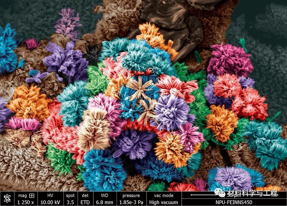 重磅：材料之美，第八届材料微结构大赛结果公布！的图3