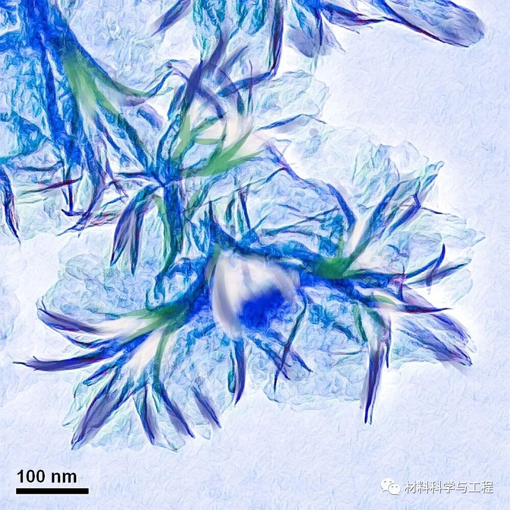 重磅：材料之美，第八届材料微结构大赛结果公布！的图5