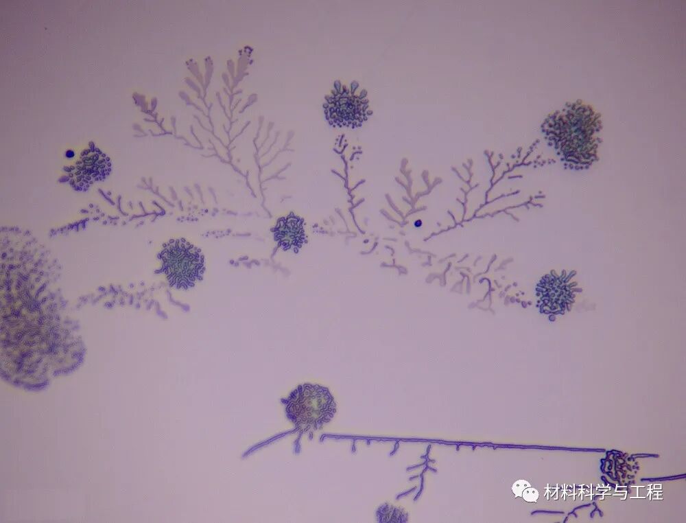 重磅：材料之美，第八届材料微结构大赛结果公布！的图43