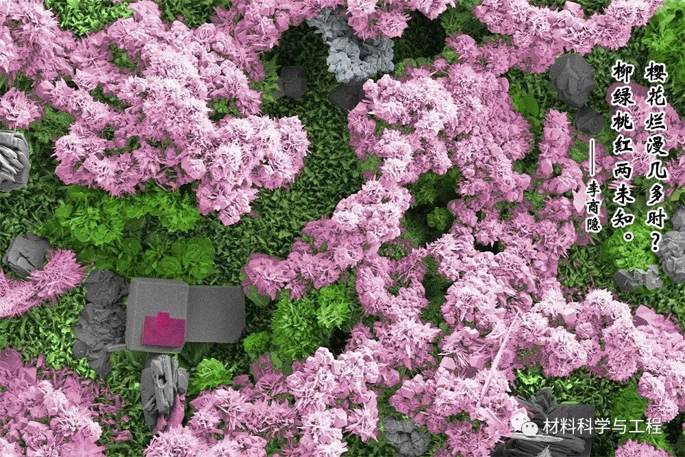 重磅：材料之美，第八届材料微结构大赛结果公布！的图11