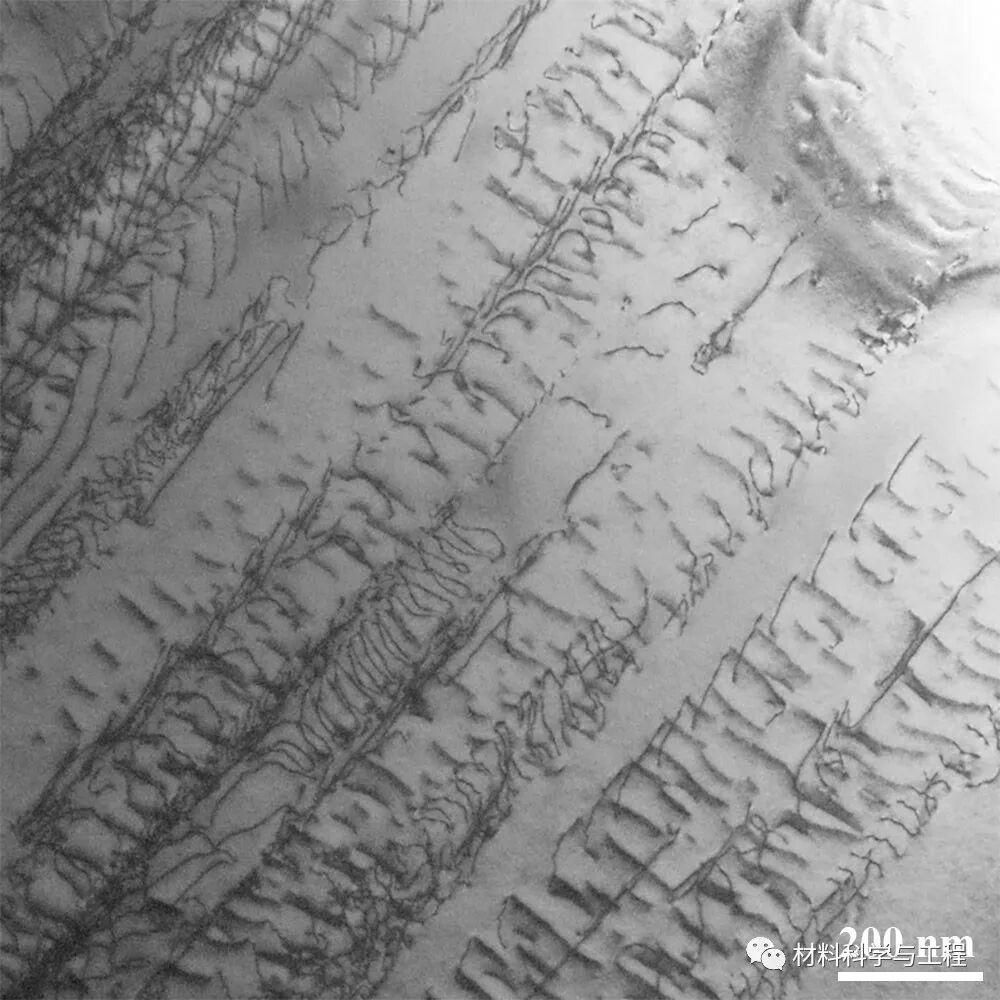 重磅：材料之美，第八届材料微结构大赛结果公布！的图60