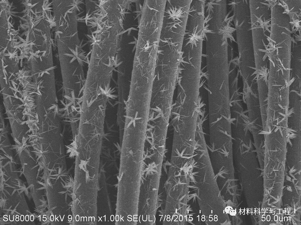 重磅：材料之美，第八届材料微结构大赛结果公布！的图51