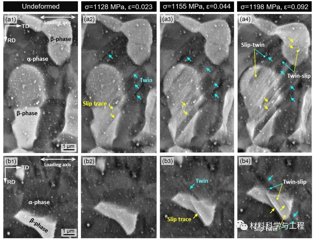 麻省理工《Acta Materialia》：滑移孪晶在相界面的变化！的图4