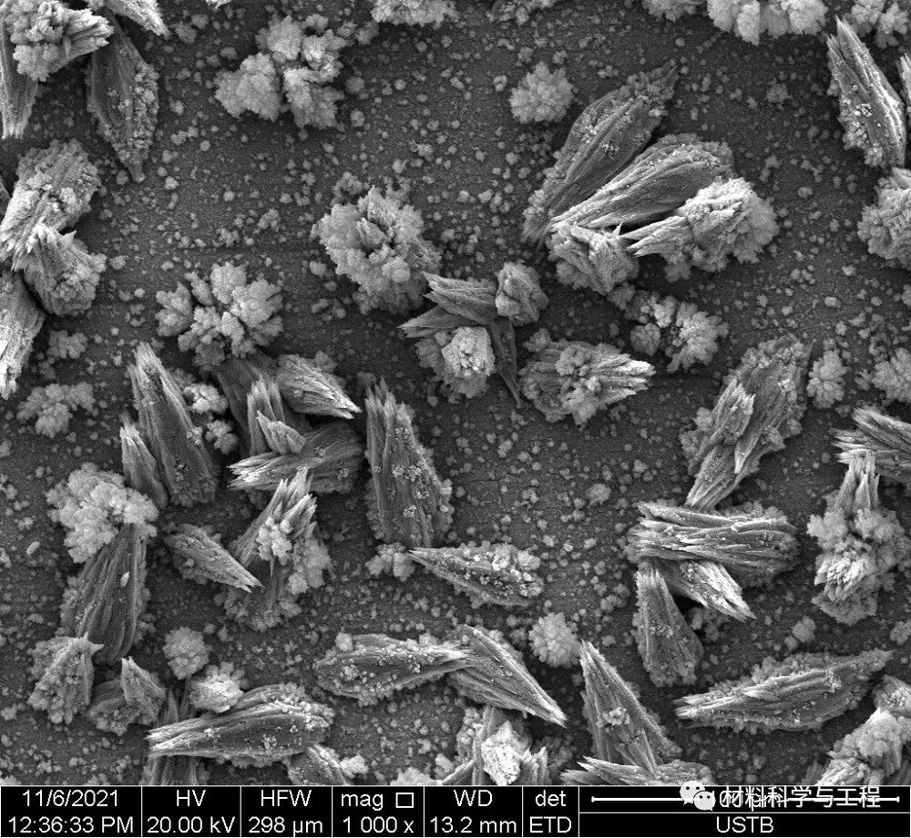 重磅：材料之美，第八届材料微结构大赛结果公布！的图38