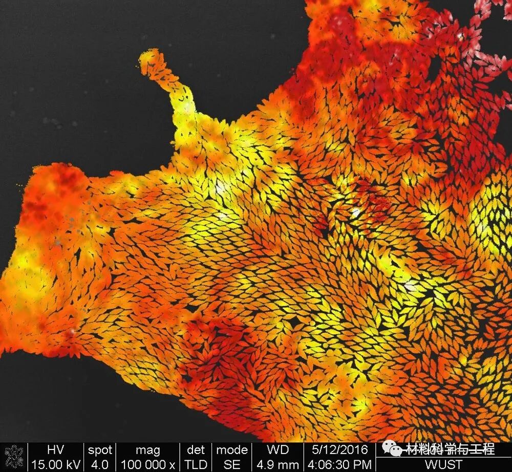重磅：材料之美，第八届材料微结构大赛结果公布！的图35