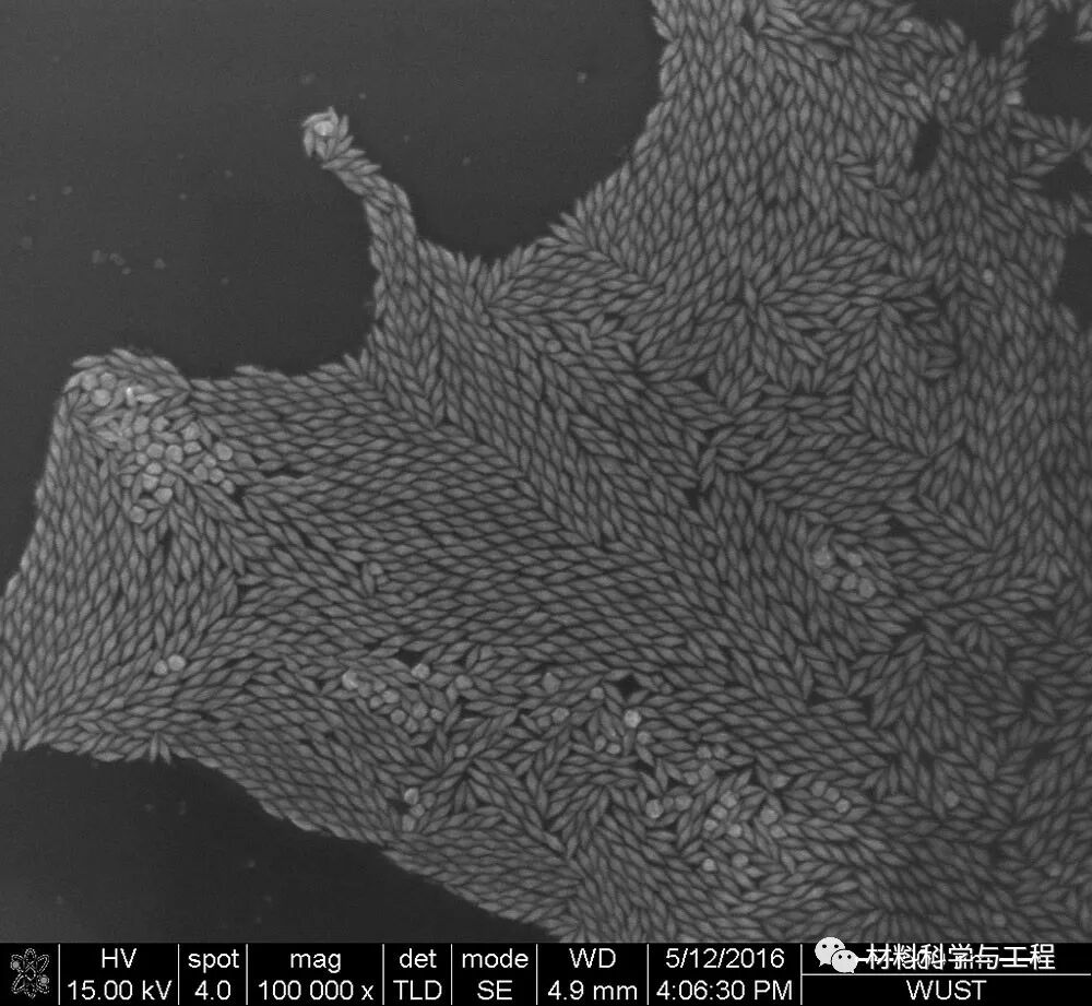 重磅：材料之美，第八届材料微结构大赛结果公布！的图36