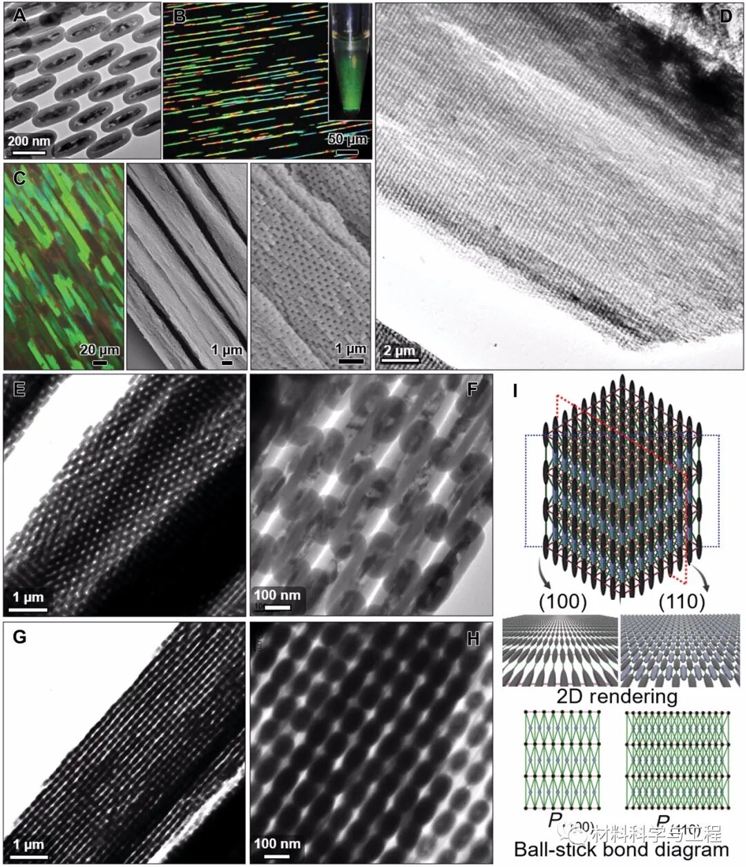 《Science》子刊：耦合形态和磁性各向异性组装四方胶体晶体的图2