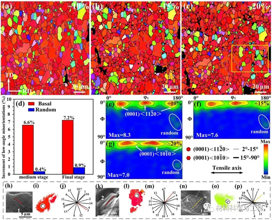 《Scripta Mater》新型微观织构设计，提升镁合金强度和塑性！的图4