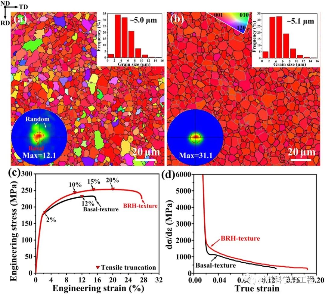 《Scripta Mater》新型微观织构设计，提升镁合金强度和塑性！的图2