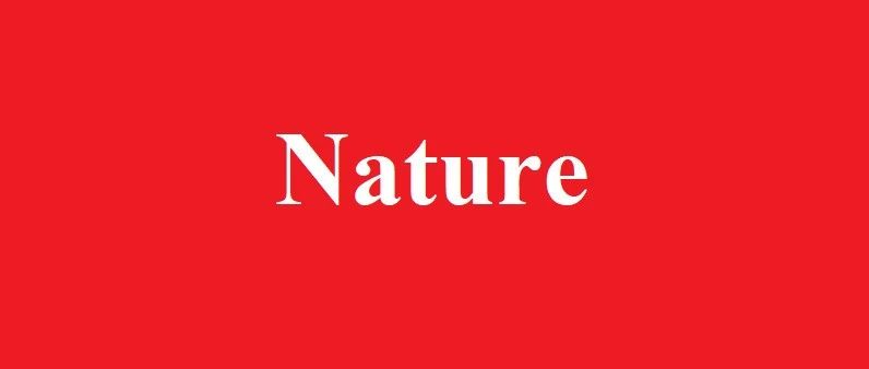 陈文&朱廷团队《Nature》：3D打印高性能纳米片层共晶高熵合金！