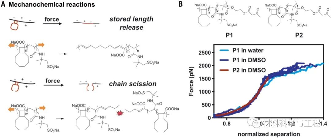 《Science》：力引发的化学反应，让水凝胶更强韧！的图3