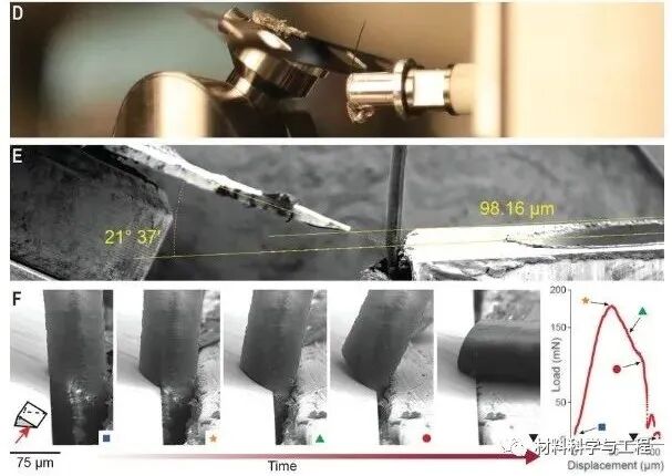 精彩！2020年金属材料领域，15篇《Nature》、《Science》！的图5
