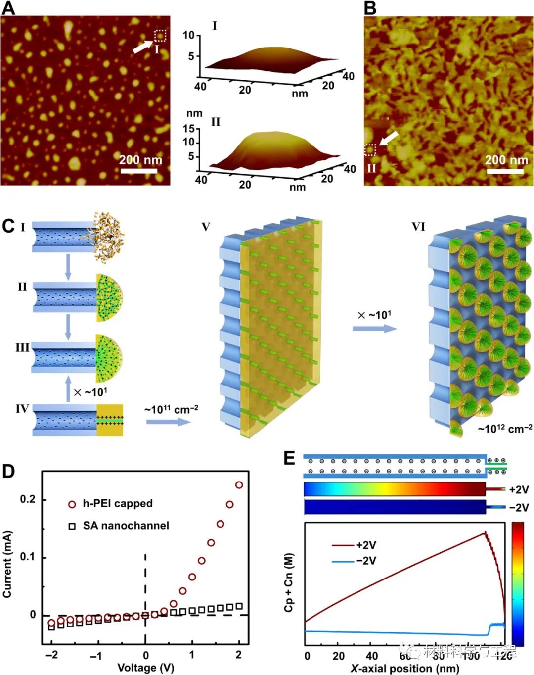 北航《Science》子刊：超高渗透能量转换的蘑菇状纳米通道阵列膜！的图3