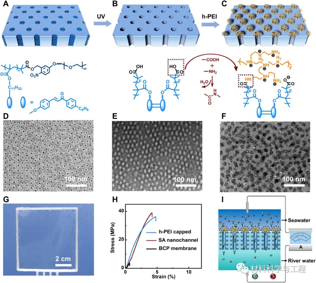 北航《Science》子刊：超高渗透能量转换的蘑菇状纳米通道阵列膜！的图2