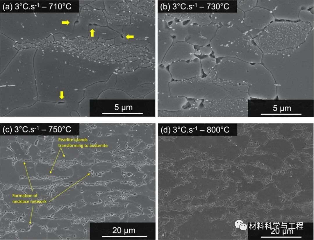 《Acta Materialia》新方法！临界退火钢的组织演变与相变动力学的图3
