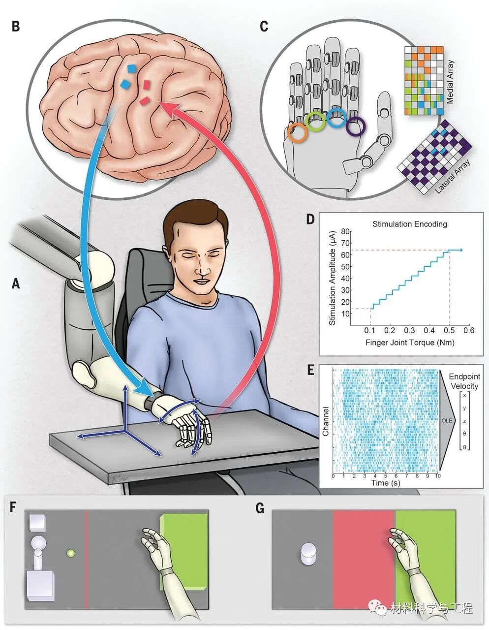 《Science》：唤起触觉的脑-机接口，改善机器手臂的控制！的图2
