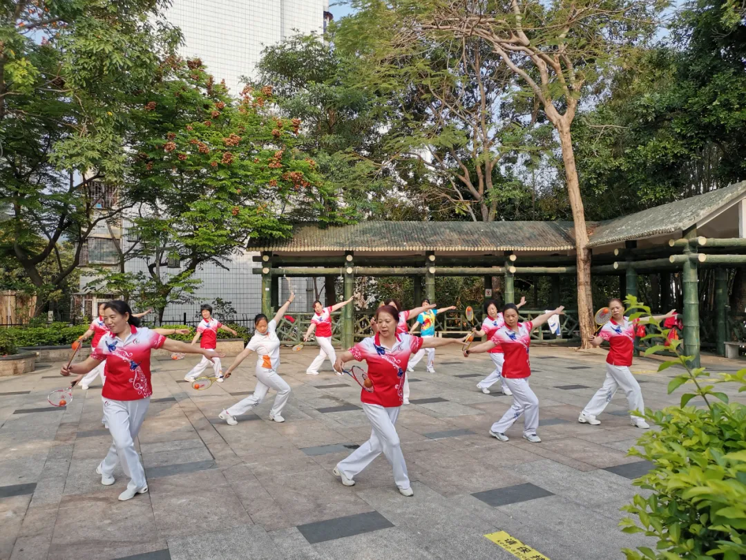 龙湖社区“不忘初心跟党走 全民健身向前行”全民健身之柔力球培训活动