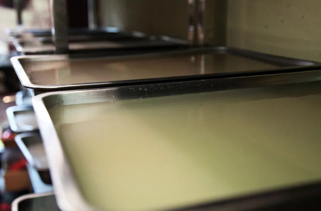 海石花怎么做凉粉_海凉粉_海冻菜怎么熬成凉粉