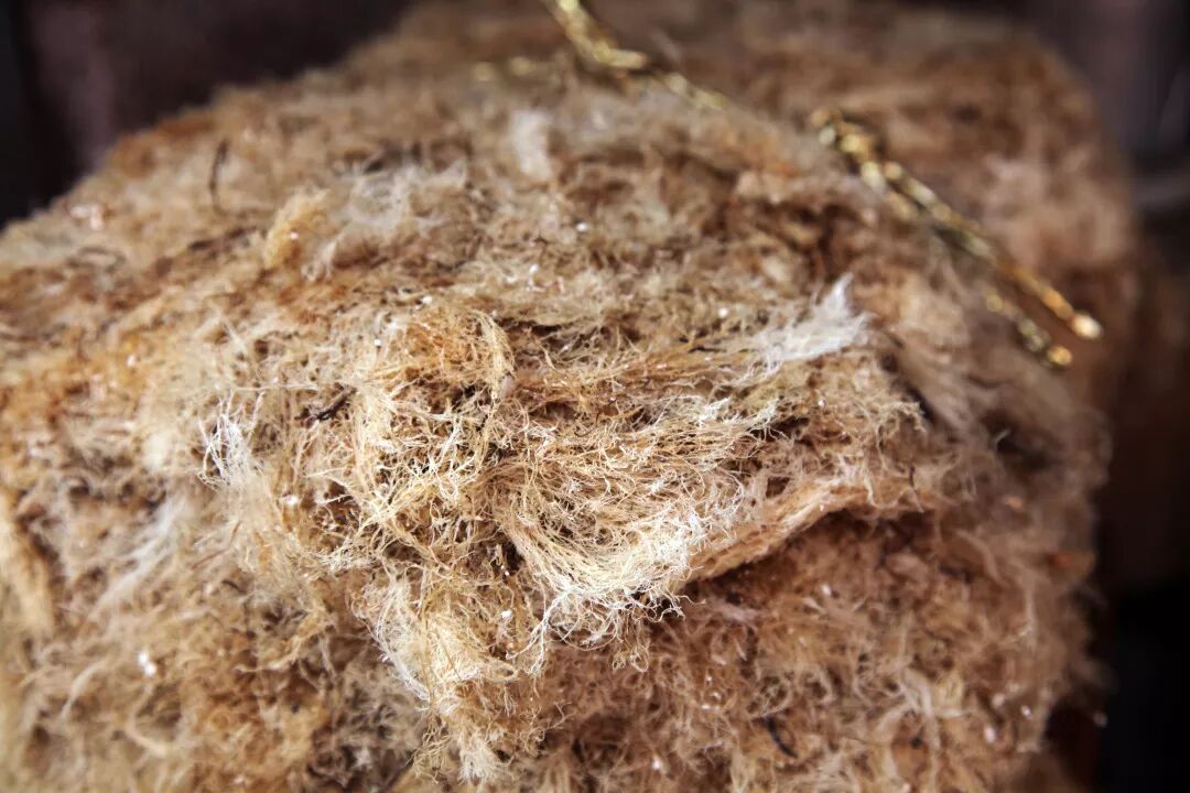 海冻菜怎么熬成凉粉_海石花怎么做凉粉_海凉粉