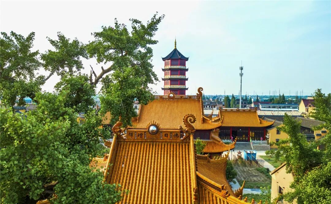 969年,有一位宝月大师云游到麟瑞乡丁安荡畔,即现在的栖真寺旧址时,顿