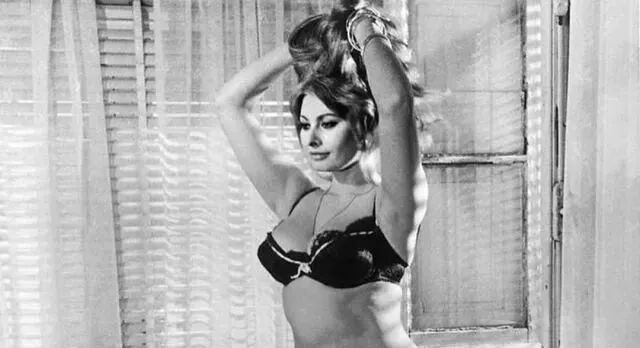 刘耀文的狗土豆照片_土豆照片_一个土豆照片