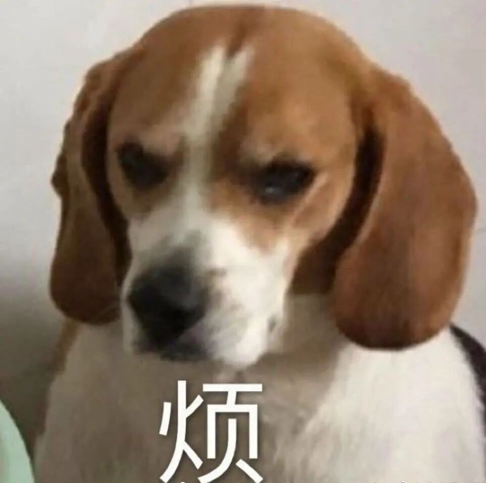 梦见狗咬着我我哭_半夜狗哭_狗会哭吗