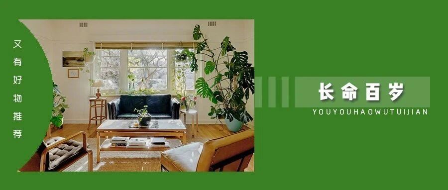 让你多活 10 年的家居神器，竟然连 50 元都不到！