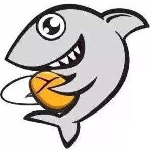 武汉斗鱼网络科技有限公司