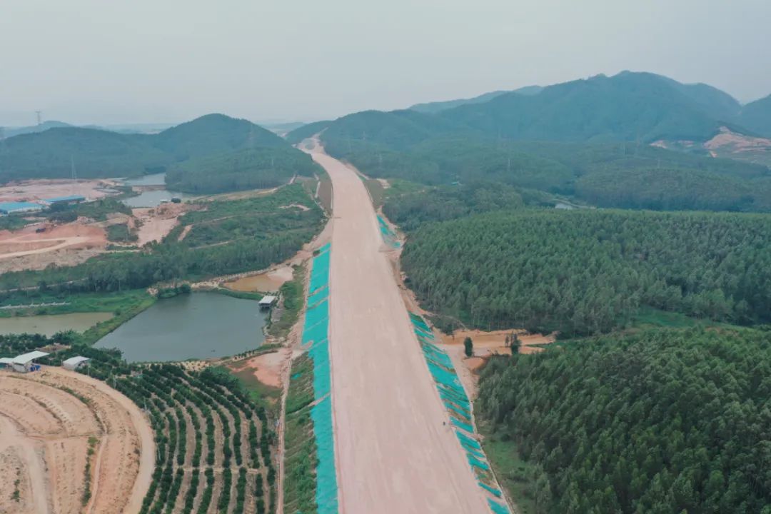 银洲湖高速出口图片