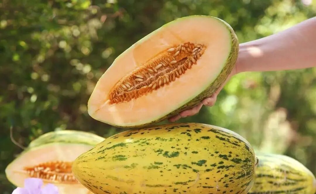 第一次去新疆旅行,到了乌鲁木齐吃什么?吃货们收藏这篇就够了