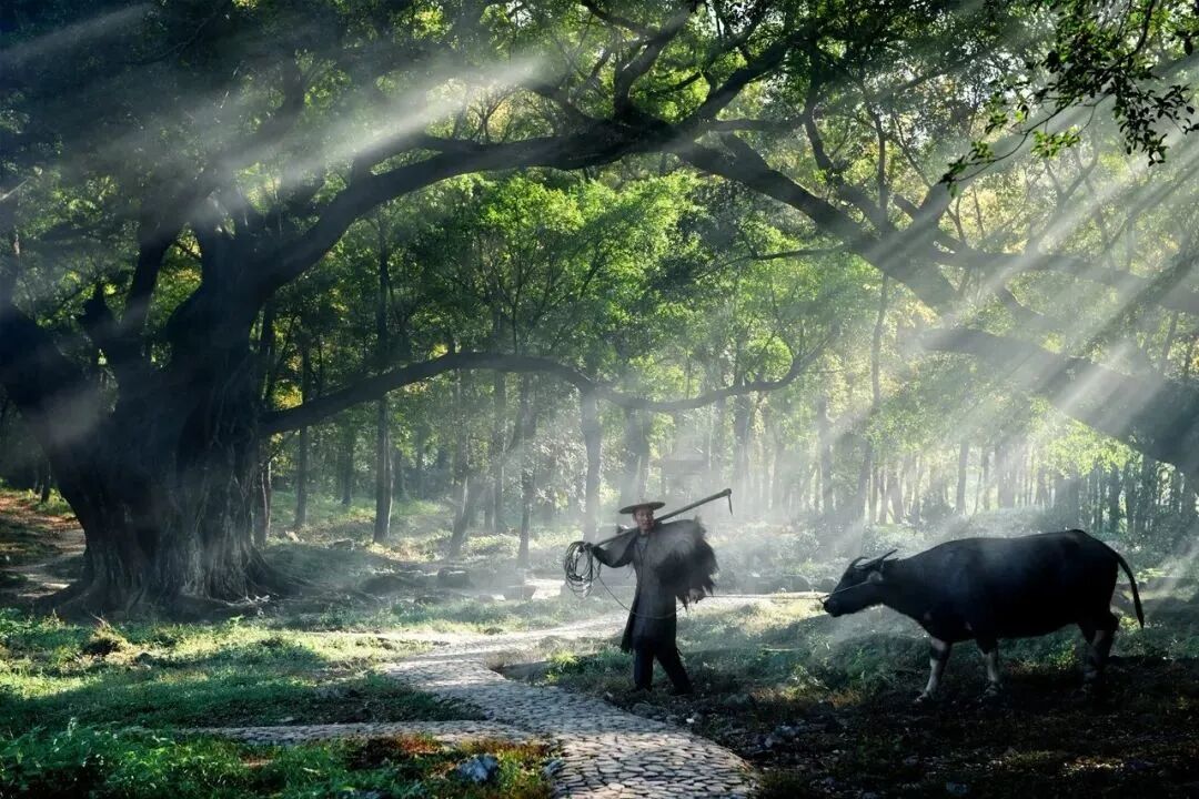 10个深山里的古村落一缕炊烟袅袅升起宛若画中的世外桃源