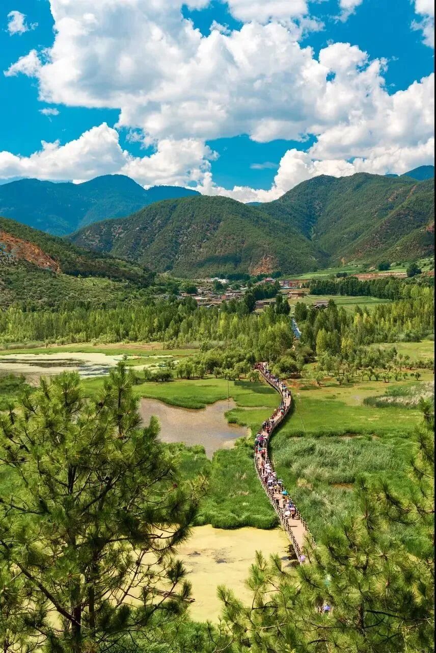 泸亚线雪山森林云雾的绝美交替上演