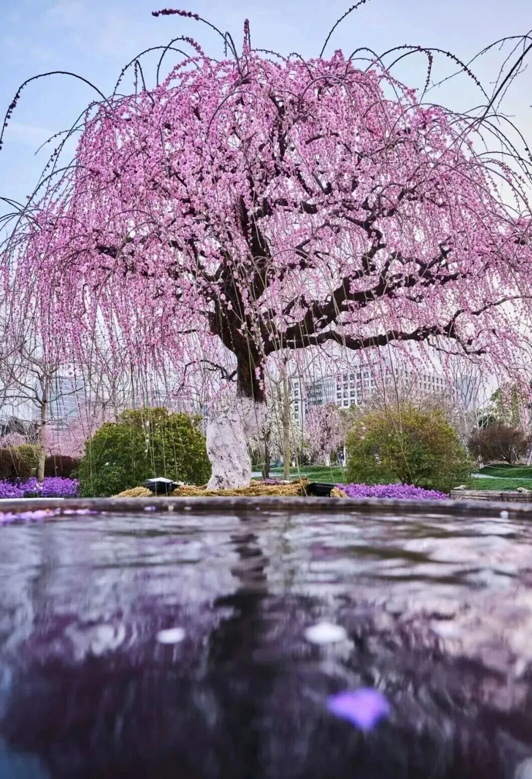 微信图片_2026-03-02_114404_192_副本.jpg
