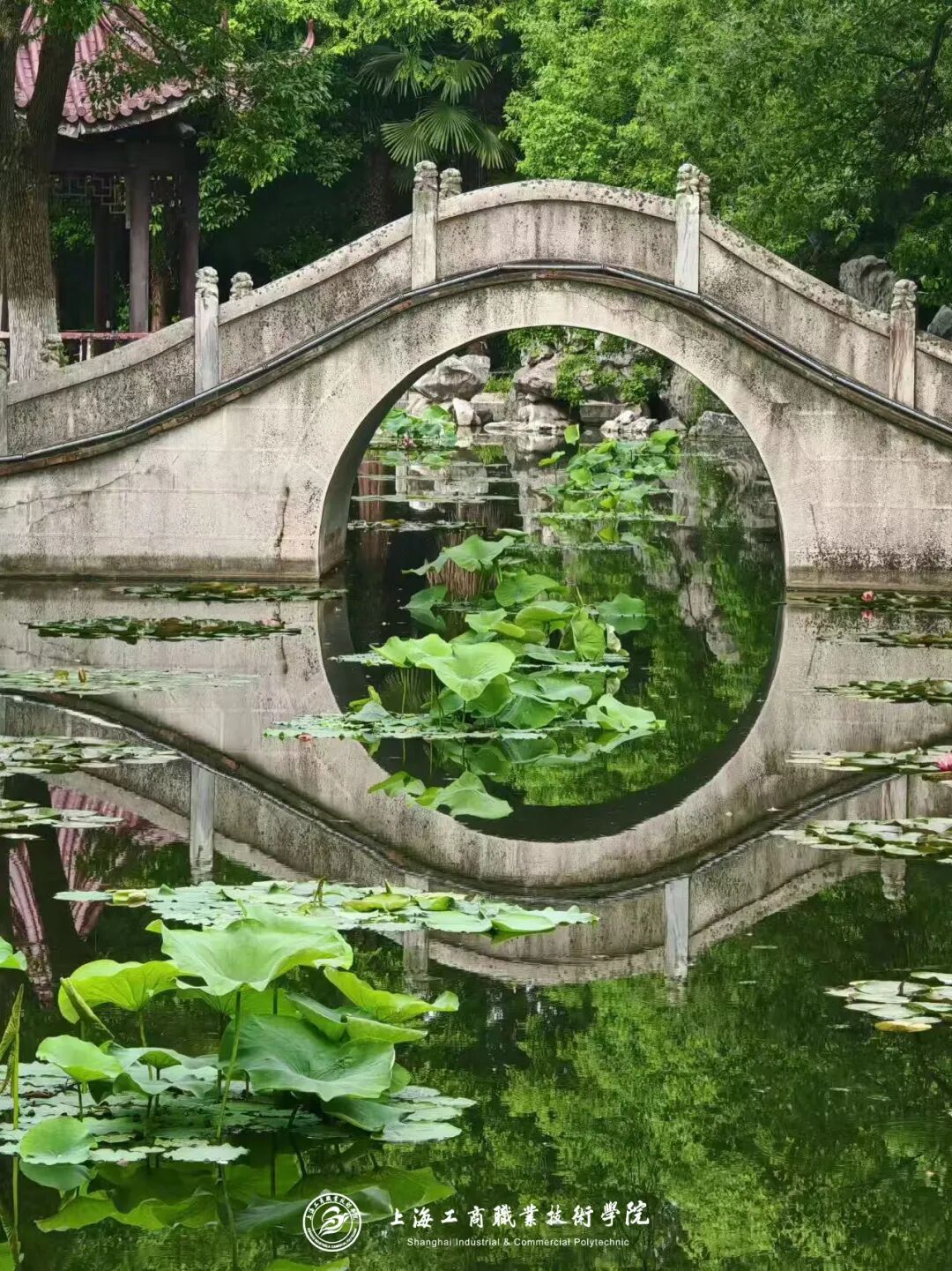 鏍″洯灏忔ˉ鍓湰.jpg