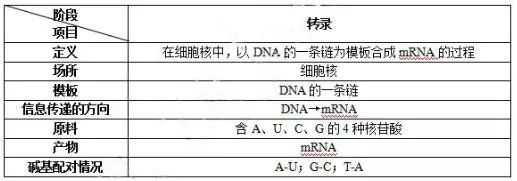 政治教案最后的教学反思怎么写_政治教案后的教学反思简短模板_教学反思政治20篇简短