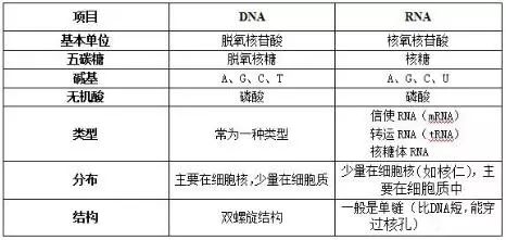 政治教案后的教学反思简短模板_政治教案最后的教学反思怎么写_教学反思政治20篇简短