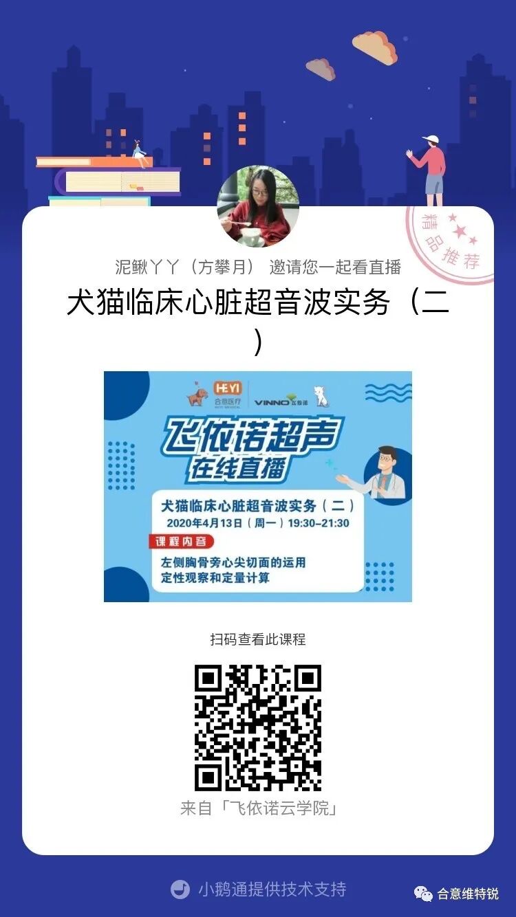 直播丨犬猫临床心脏超音波实务 二 培训 维宠宠物导航网