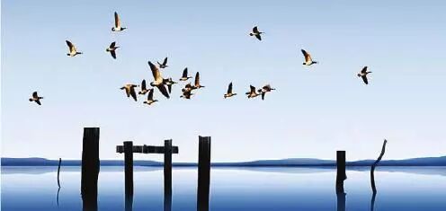 640?wx_fmt=jpeg&tp=webp&wxfrom=5&wx_lazy=1&wx_co=1