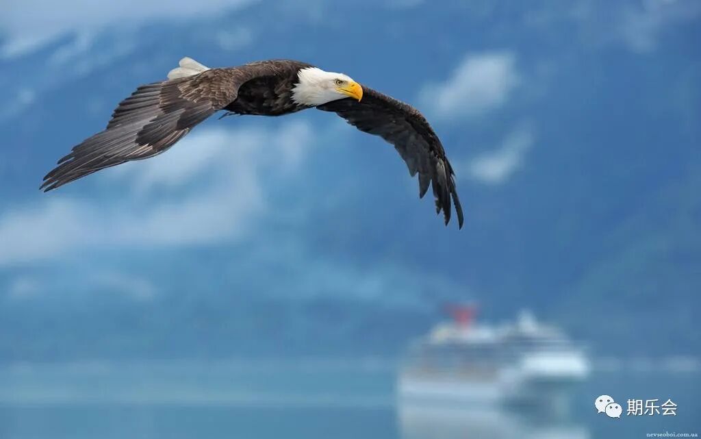 640?wx_fmt=jpeg&tp=webp&wxfrom=5&wx_lazy=1&wx_co=1