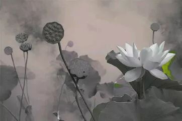 640?wx_fmt=jpeg&tp=webp&wxfrom=5&wx_lazy=1&wx_co=1