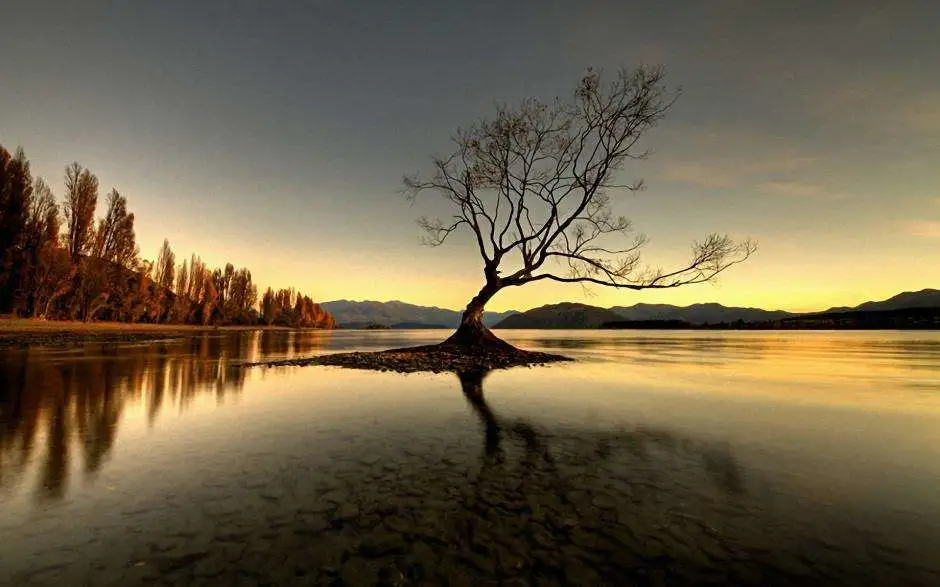 640?wx_fmt=jpeg&tp=webp&wxfrom=5&wx_lazy=1&wx_co=1