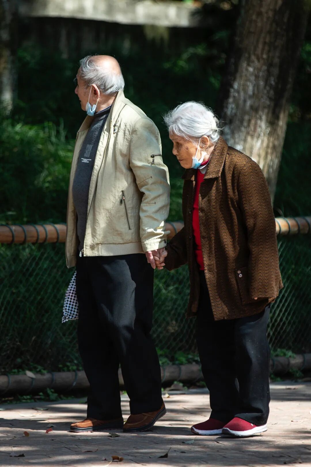 两个白发苍苍的老人手牵手,佝偻了身体,行动很缓慢.
