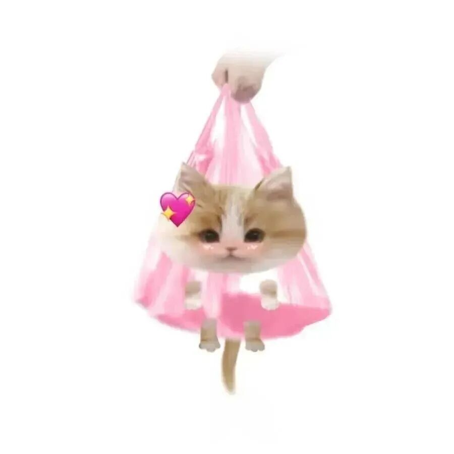 njiytyrnglajidaidayun可爱垃圾袋猫咪情侣头像