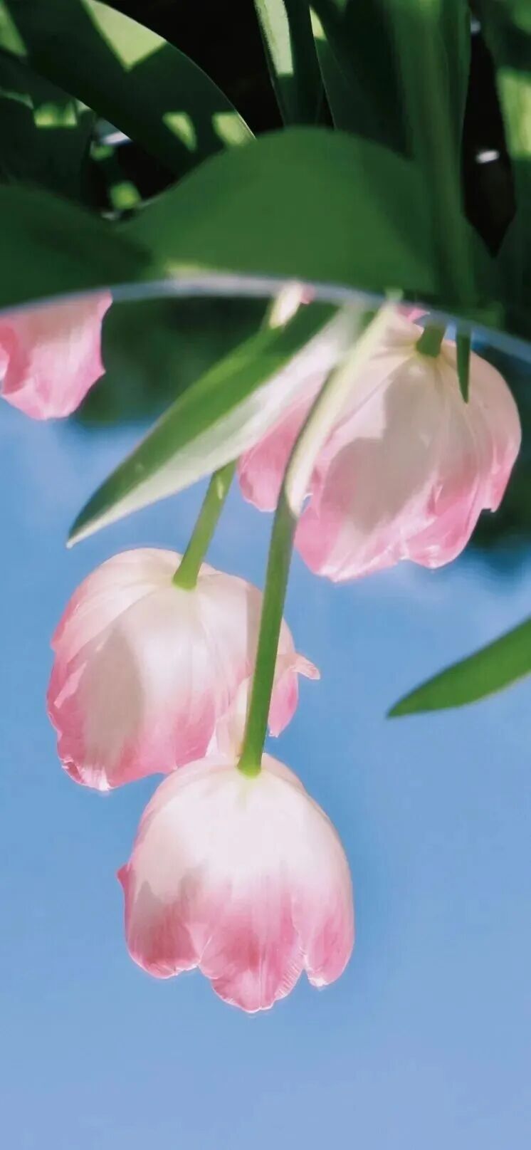 什锦