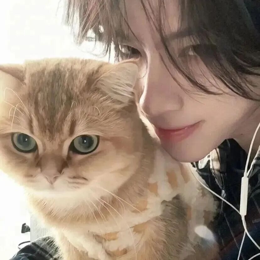 抱着猫咪帅气男生头像