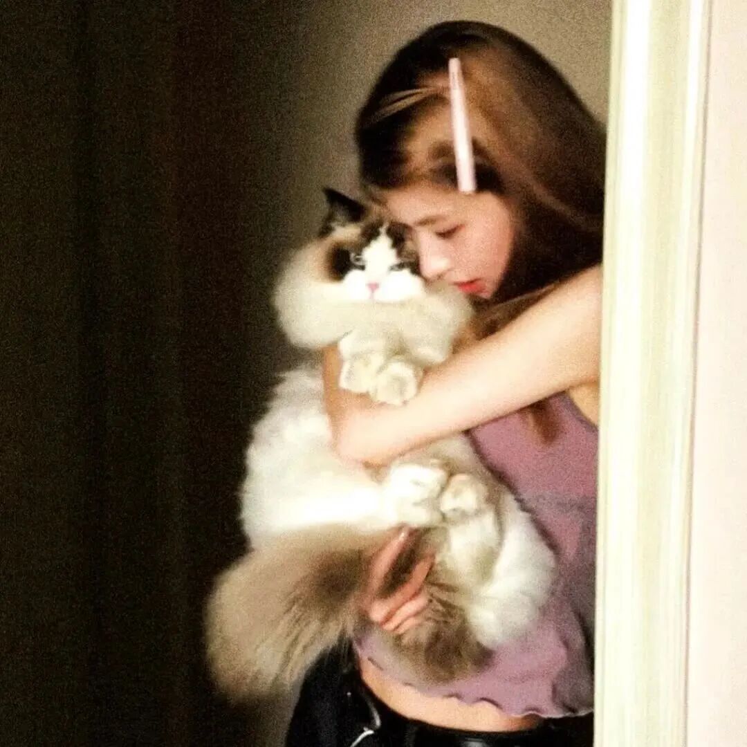 抱着猫咪清冷侧脸女生头像