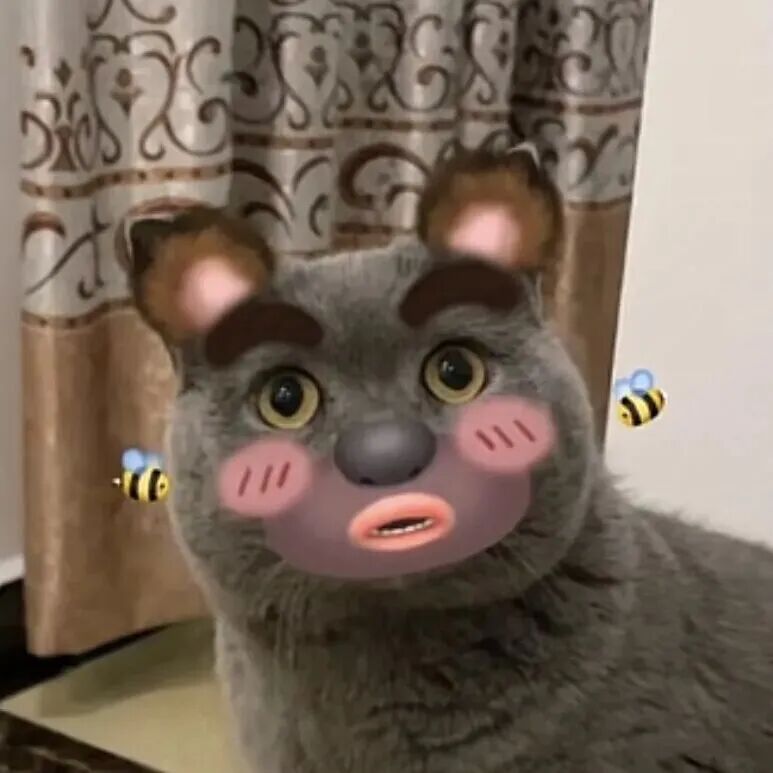 saytebjlodayun沙雕搞怪猫咪情侣头像