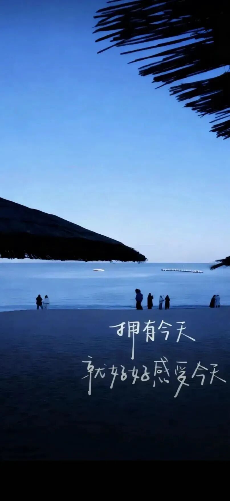 风景