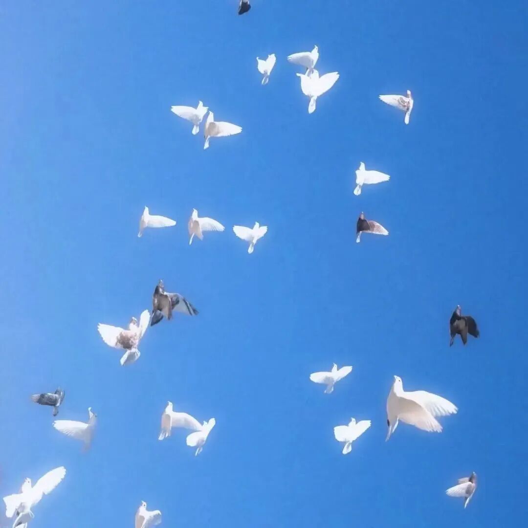 蓝色背景图